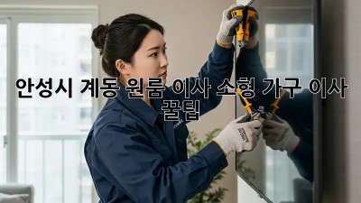 안성시 계동 원룸 이사, 소형 가구 이사 꿀팁!